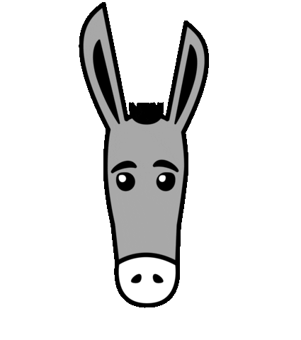 Villa Donkey